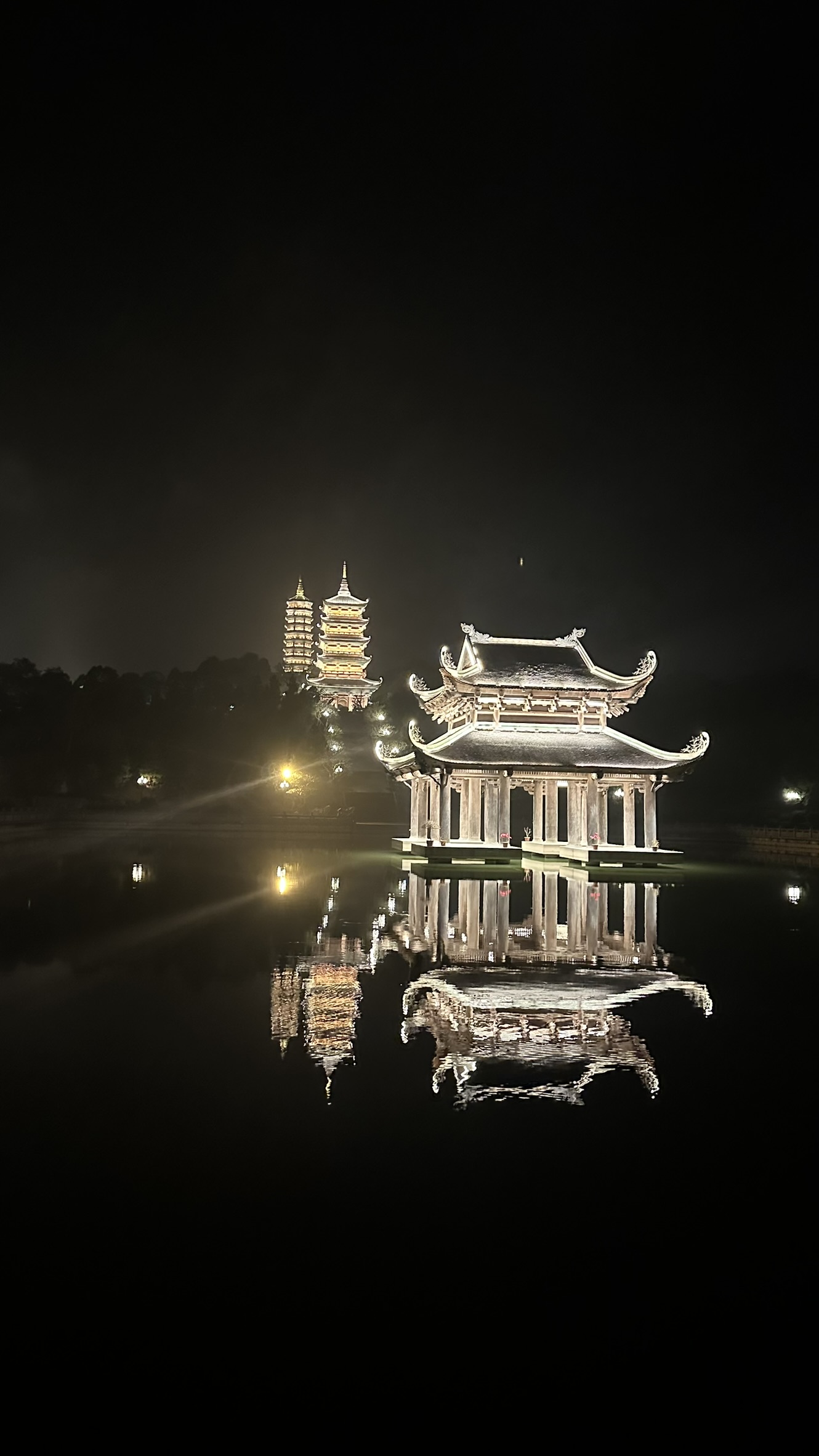 Temple roofs glowing under the night sky